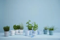 Mepal – Kruidenpot Twin - Wit – Automatische Bewatering – Altijd Verse Kruiden In De Keuken – Ook Geschikt Voor Planten -Gezinswaren Verkoop 1200x798 34